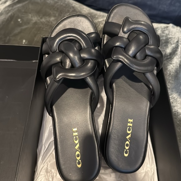 Coach Everette Platform Sandal - Picture 1 of 7